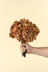 Hydrangea Bouquet Russet