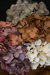Hydrangea Bouquet Russet