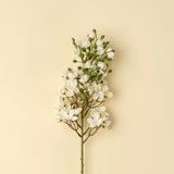 Delphinium Floral Stem, White
