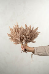 Branch Pampas Grass Bundle