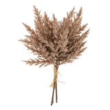 Branch Pampas Grass Bundle