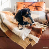 Blanket - Throw - Cinnamon Check