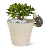 Climbing Hedgehog Pot Hanger