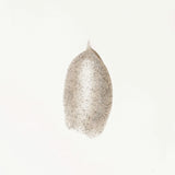 Face scrub - precious oil based