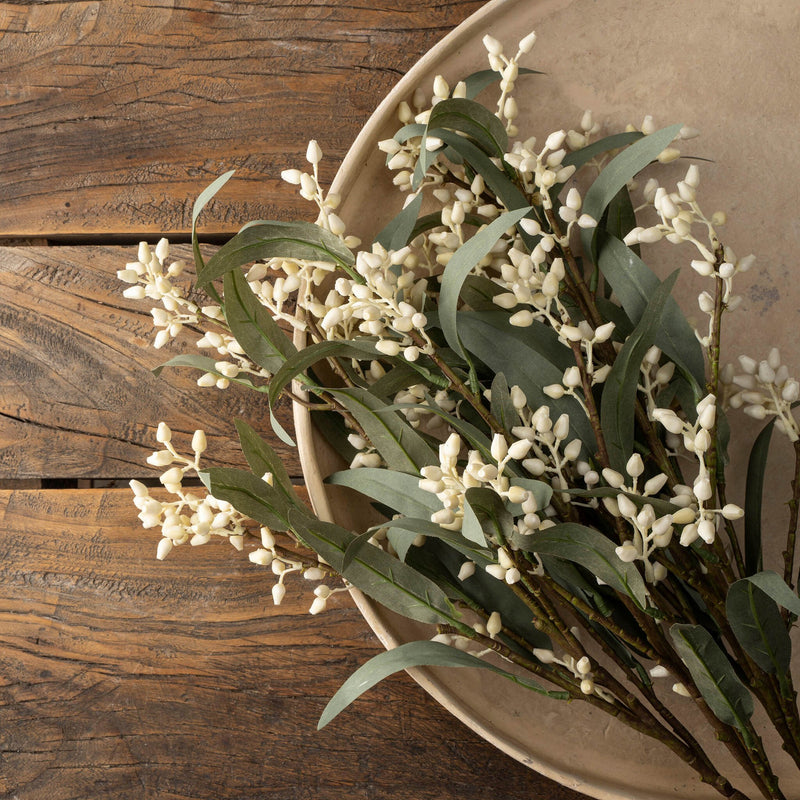 Branch Flowering Eucalyptus