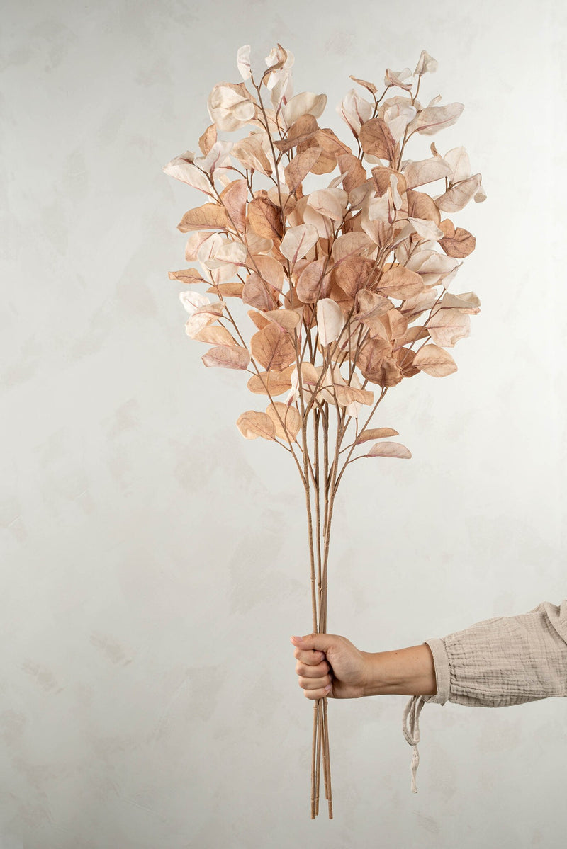 Branch Dried Eucalyptus