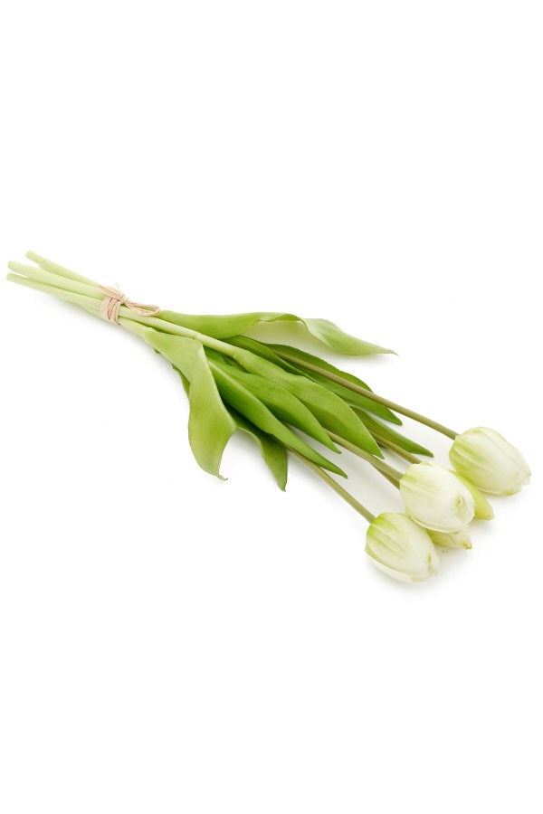 BUNDLE TULIP LT GREEN