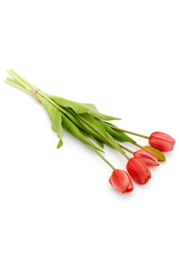 BUNDLE TULIP PINK