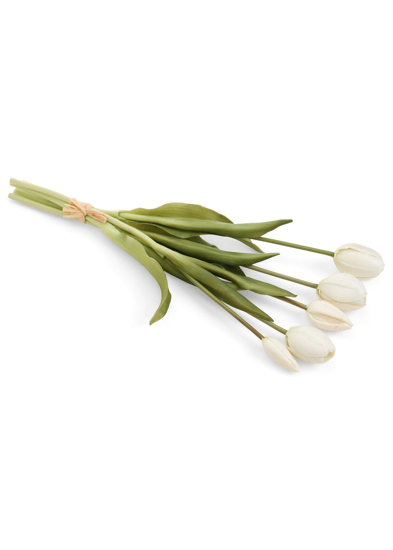 BUNDLE TULIP WHITE