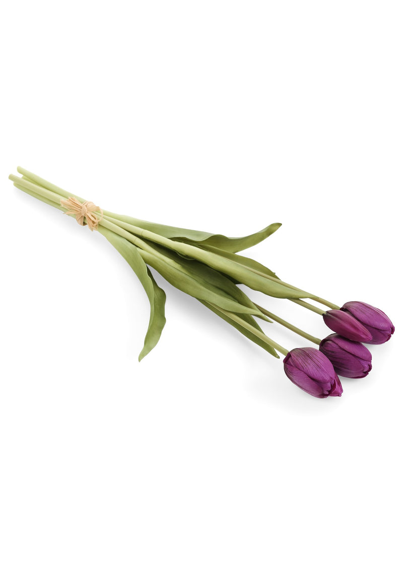 BUNDLE TULIP PURPLE