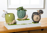 Climbing Hedgehog Pot Hanger