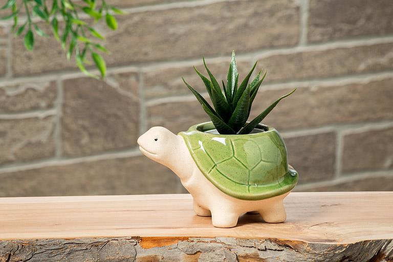 Small Turtle Planter