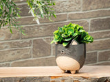 Large Cat on Legs Planter