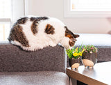 Large Cat on Legs Planter