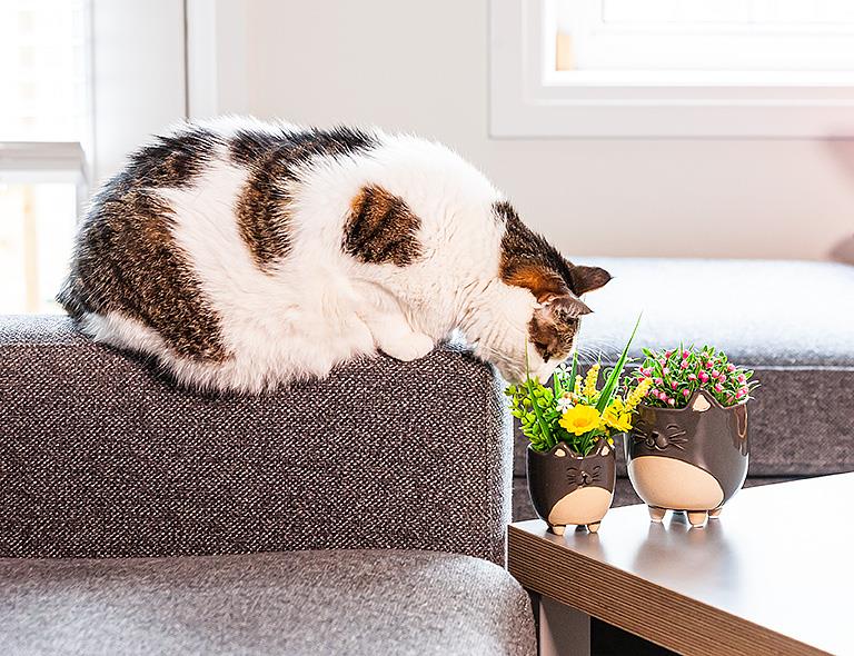 Large Cat on Legs Planter
