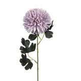 Ball Flower Stem