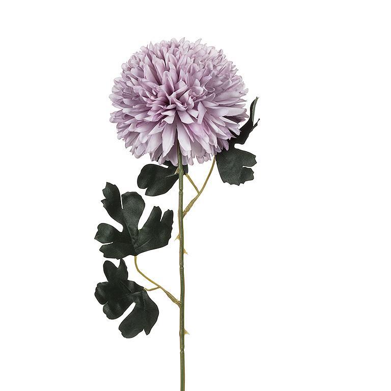 Ball Flower Stem