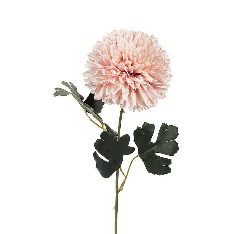 Ball Flower Stem