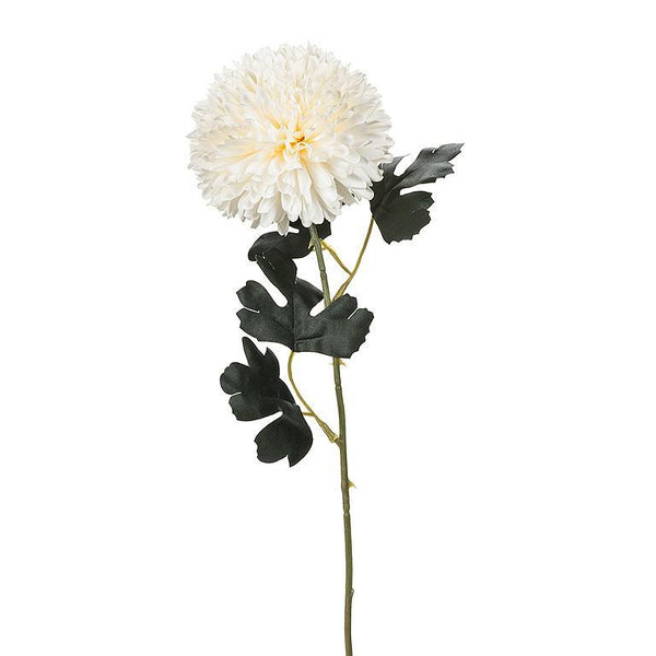 Ball Flower Stem