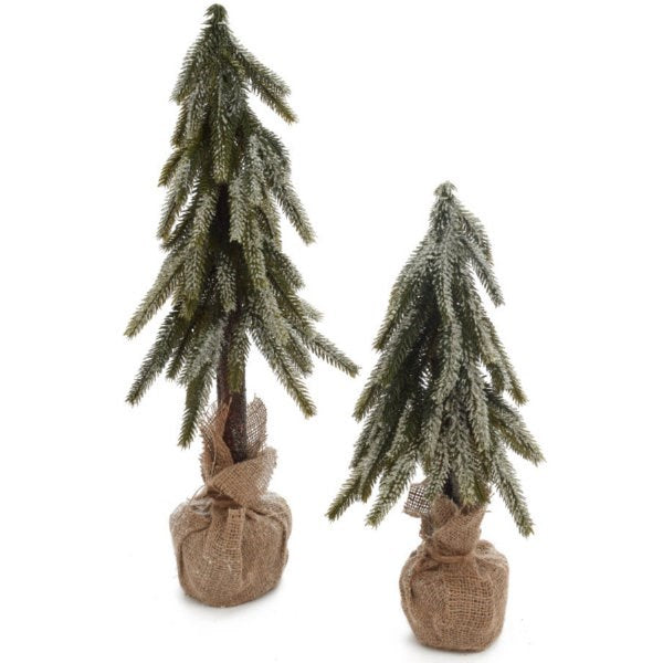 Snowy Pine Trees with Burlap