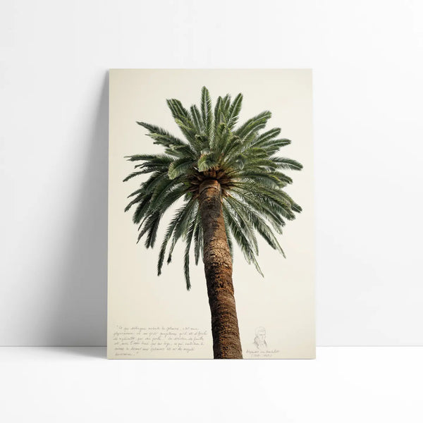 Big Palm TREE Art Print