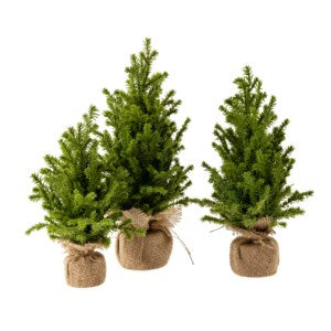 Faux Cedar Tabletop Tree S