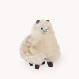 Alpaca Fur Standing Alpaca White