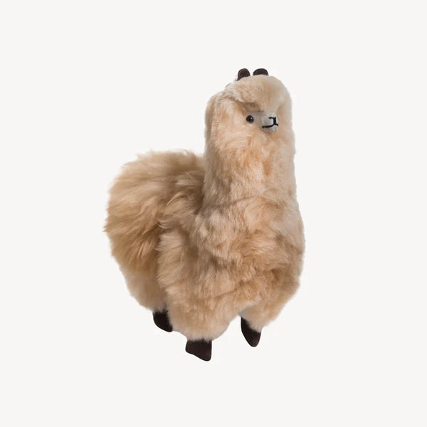 Alpaca Fur Standing Alpaca
