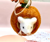 Mouse in Sm Pumpkin Ornament