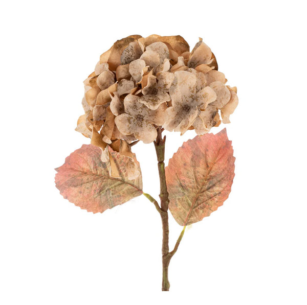Faded Hydrangea Stem | Cream