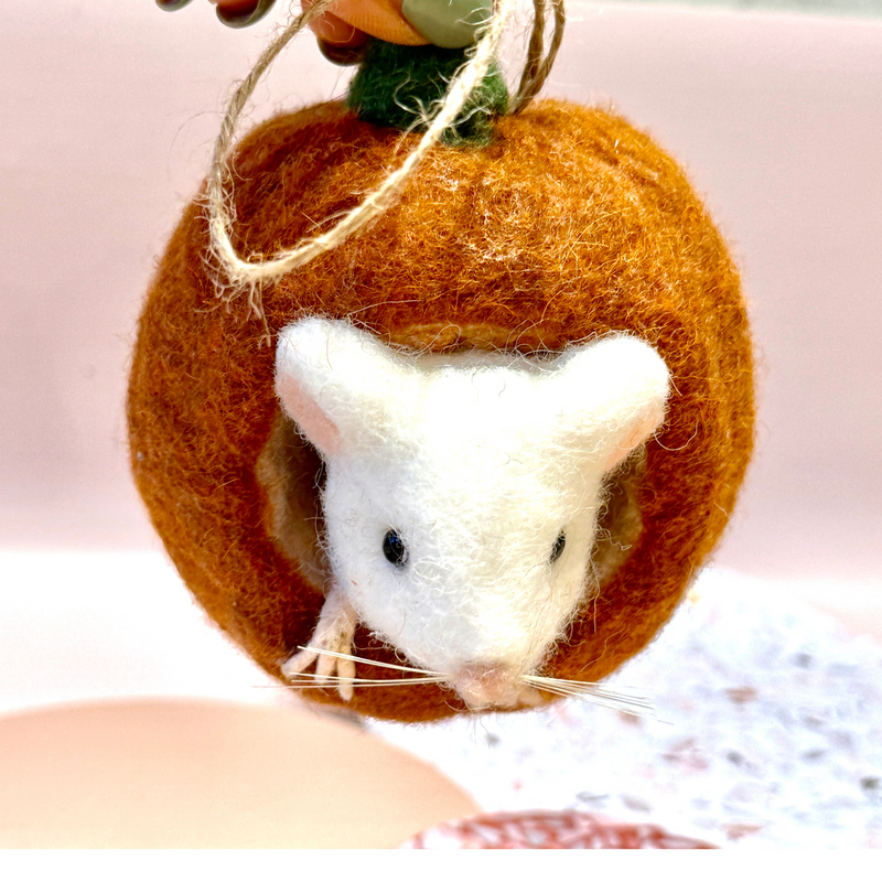 Mouse in Sm Pumpkin Ornament