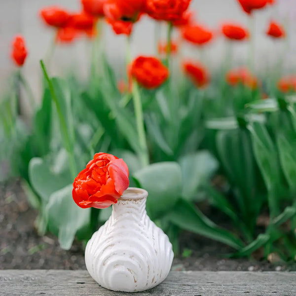 Ceramic Vase