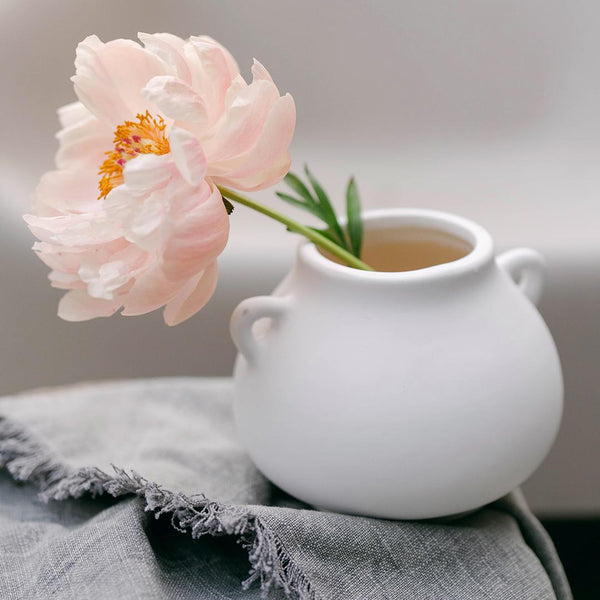 Ceramic Vase with Handles