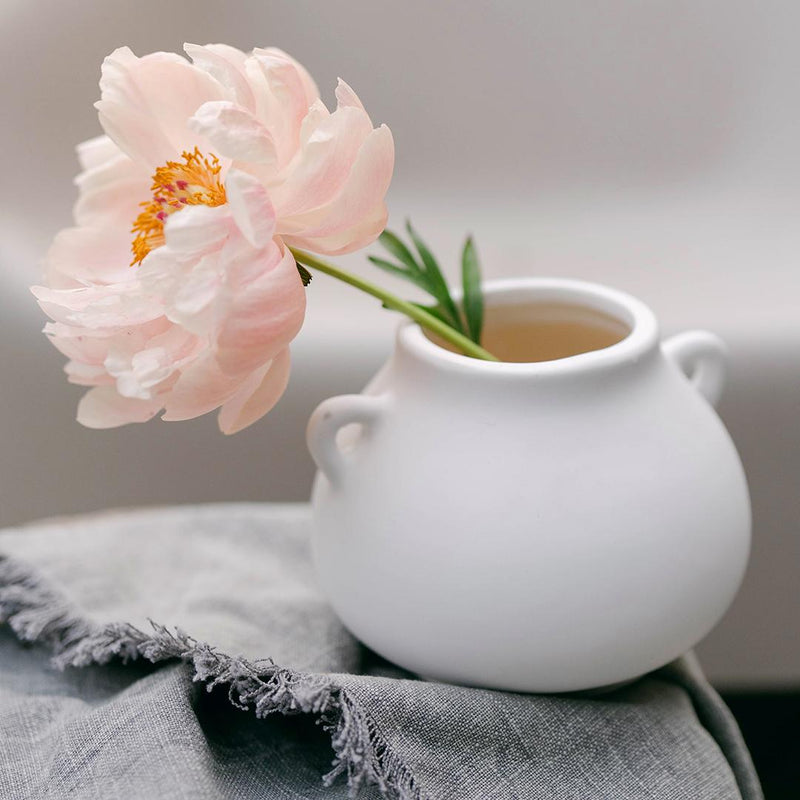 Ceramic Vase with Handles