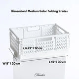 Medium Folding Crate